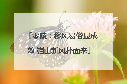 零陵：移风易俗显成效 岿山新风扑面来