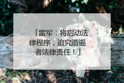 雷军：将启动法律程序，追究造谣者法律责任！