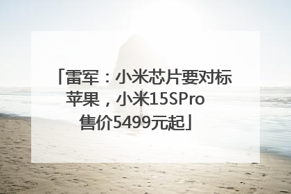 雷军：小米芯片要对标苹果，小米15SPro售价5499元起