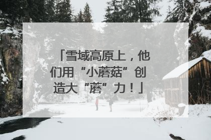 雪域高原上，他们用“小蘑菇”创造大“蘑”力！