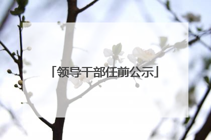 领导干部任前公示