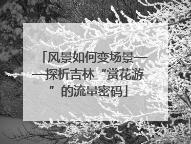 风景如何变场景——探析吉林“赏花游”的流量密码
