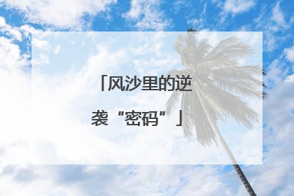 风沙里的逆袭“密码”