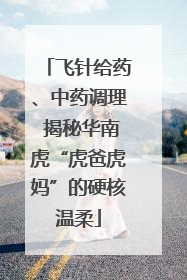 飞针给药、中药调理 揭秘华南虎“虎爸虎妈”的硬核温柔