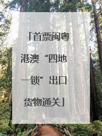 首票闽粤港澳“四地一锁”出口货物通关