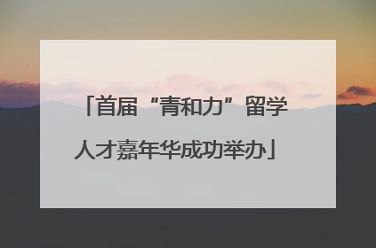 首届“青和力”留学人才嘉年华成功举办