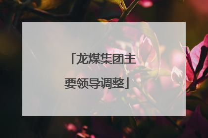 龙煤集团主要领导调整