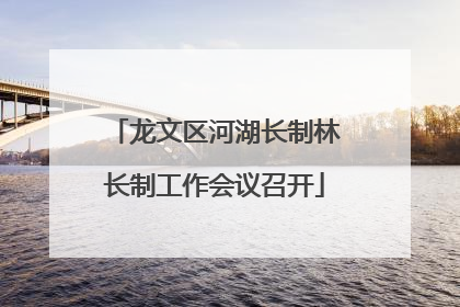龙文区河湖长制林长制工作会议召开