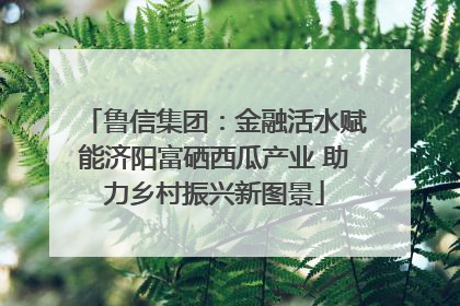 鲁信集团：金融活水赋能济阳富硒西瓜产业 助力乡村振兴新图景