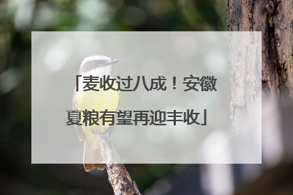 麦收过八成！安徽夏粮有望再迎丰收