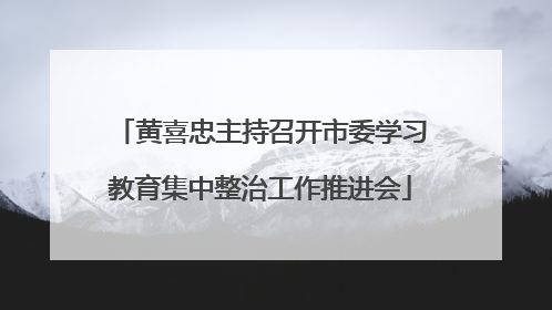 黄喜忠主持召开市委学习教育集中整治工作推进会