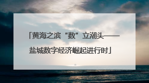 黄海之滨“数”立潮头——盐城数字经济崛起进行时