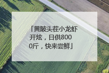 黄陂头茬小龙虾开炫，日供8000斤，快来尝鲜