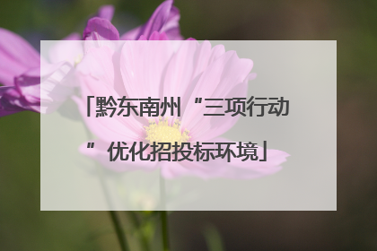 黔东南州“三项行动”优化招投标环境
