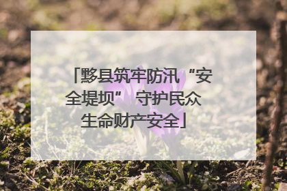 黟县筑牢防汛“安全堤坝” 守护民众生命财产安全