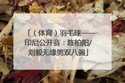 （体育）羽毛球——印尼公开赛：陈柏阳/刘毅无缘男双八强