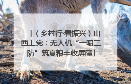 （乡村行·看振兴）山西上党：无人机“一喷三防”筑夏粮丰收屏障