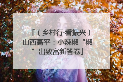 （乡村行·看振兴）山西高平：小辣椒“椒”出致富新答卷