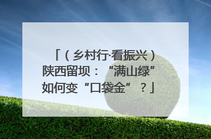 （乡村行·看振兴）陕西留坝：“满山绿”如何变“口袋金”？