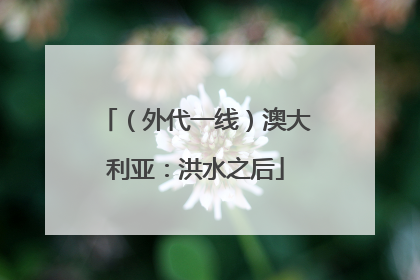 （外代一线）澳大利亚：洪水之后