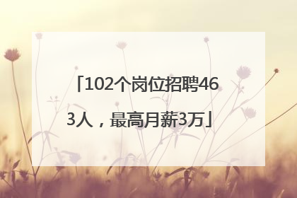 102个岗位招聘463人，最高月薪3万