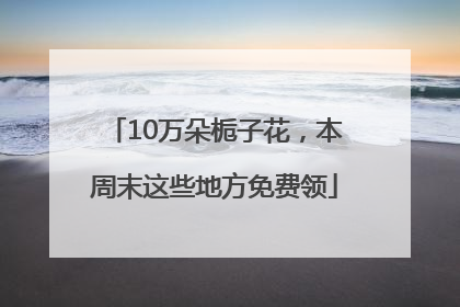 10万朵栀子花，本周末这些地方免费领