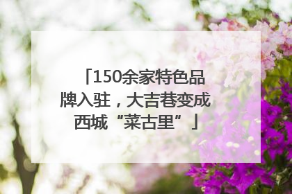 150余家特色品牌入驻，大吉巷变成西城“菜古里”