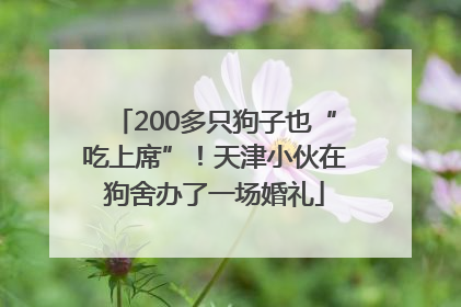 200多只狗子也“吃上席”！天津小伙在狗舍办了一场婚礼