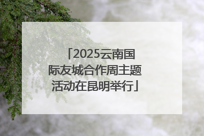 2025云南国际友城合作周主题活动在昆明举行