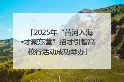 2025年“黄河入海•才聚东营”招才引智高校行活动成功举办