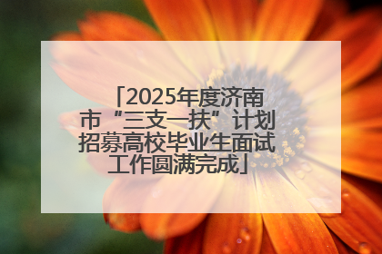 2025年度济南市“三支一扶”计划招募高校毕业生面试工作圆满完成