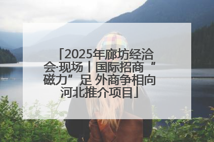 2025年廊坊经洽会·现场丨国际招商“磁力”足 外商争相向河北推介项目
