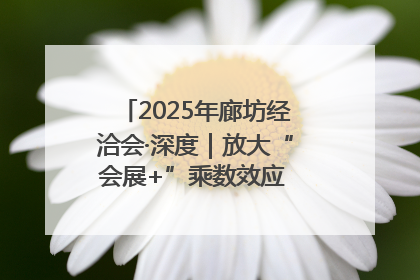 2025年廊坊经洽会·深度｜放大“会展+”乘数效应 打造消费新场景