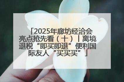2025年廊坊经洽会亮点抢先看（十）丨离境退税“即买即退”便利国际友人“买买买”