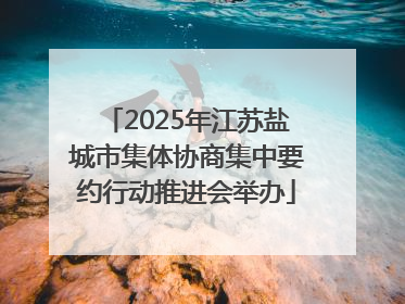 2025年江苏盐城市集体协商集中要约行动推进会举办