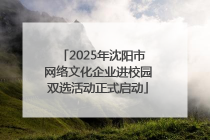 2025年沈阳市网络文化企业进校园双选活动正式启动