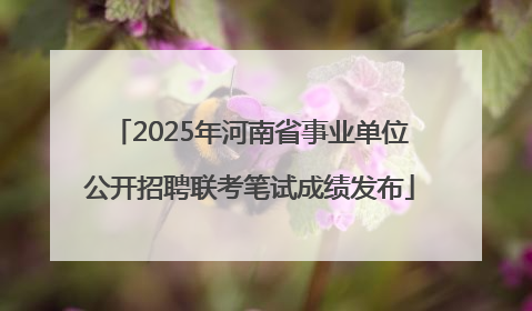 2025年河南省事业单位公开招聘联考笔试成绩发布
