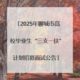 2025年聊城市高校毕业生“三支一扶”计划招募面试公告