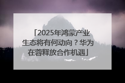 2025年鸿蒙产业生态将有何动向？华为在蓉释放合作机遇