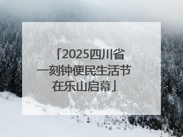 2025四川省一刻钟便民生活节在乐山启幕