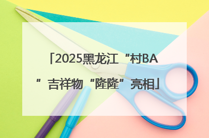 2025黑龙江“村BA”吉祥物“隆隆”亮相