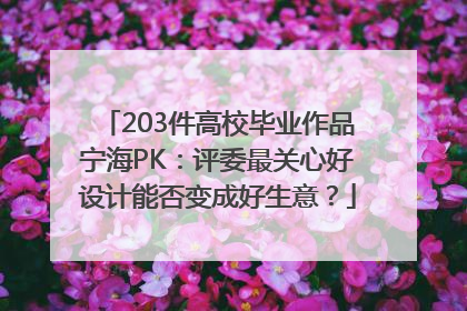 203件高校毕业作品宁海PK：评委最关心好设计能否变成好生意？
