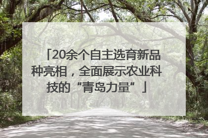20余个自主选育新品种亮相，全面展示农业科技的“青岛力量”