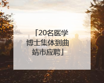 20名医学博士集体到曲靖市应聘
