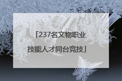 237名文物职业技能人才同台竞技