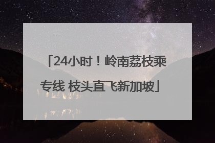 24小时！岭南荔枝乘专线 枝头直飞新加坡