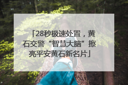 28秒极速处置，黄石交警“智慧大脑”擦亮平安黄石新名片