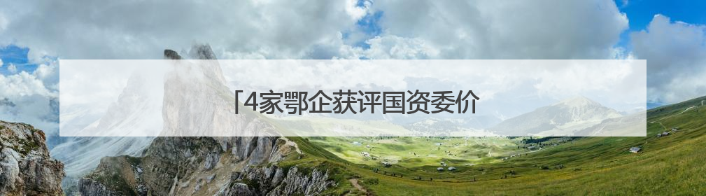 4家鄂企获评国资委价值创造行动优秀案例