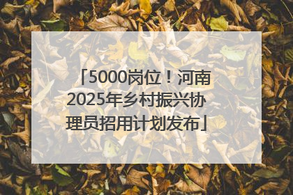 5000岗位！河南2025年乡村振兴协理员招用计划发布