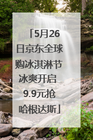 5月26日京东全球购冰淇淋节冰爽开启 9.9元抢哈根达斯